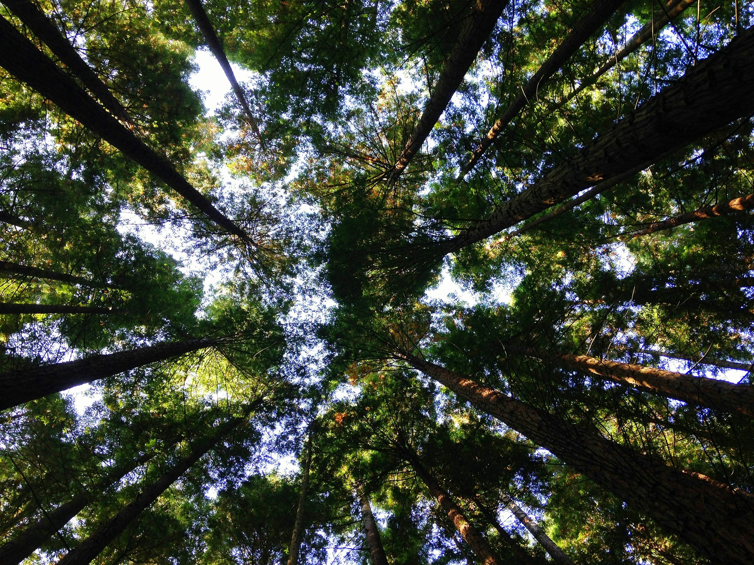 Why Sustainability Will Define AI Success for Businesses in 2025
