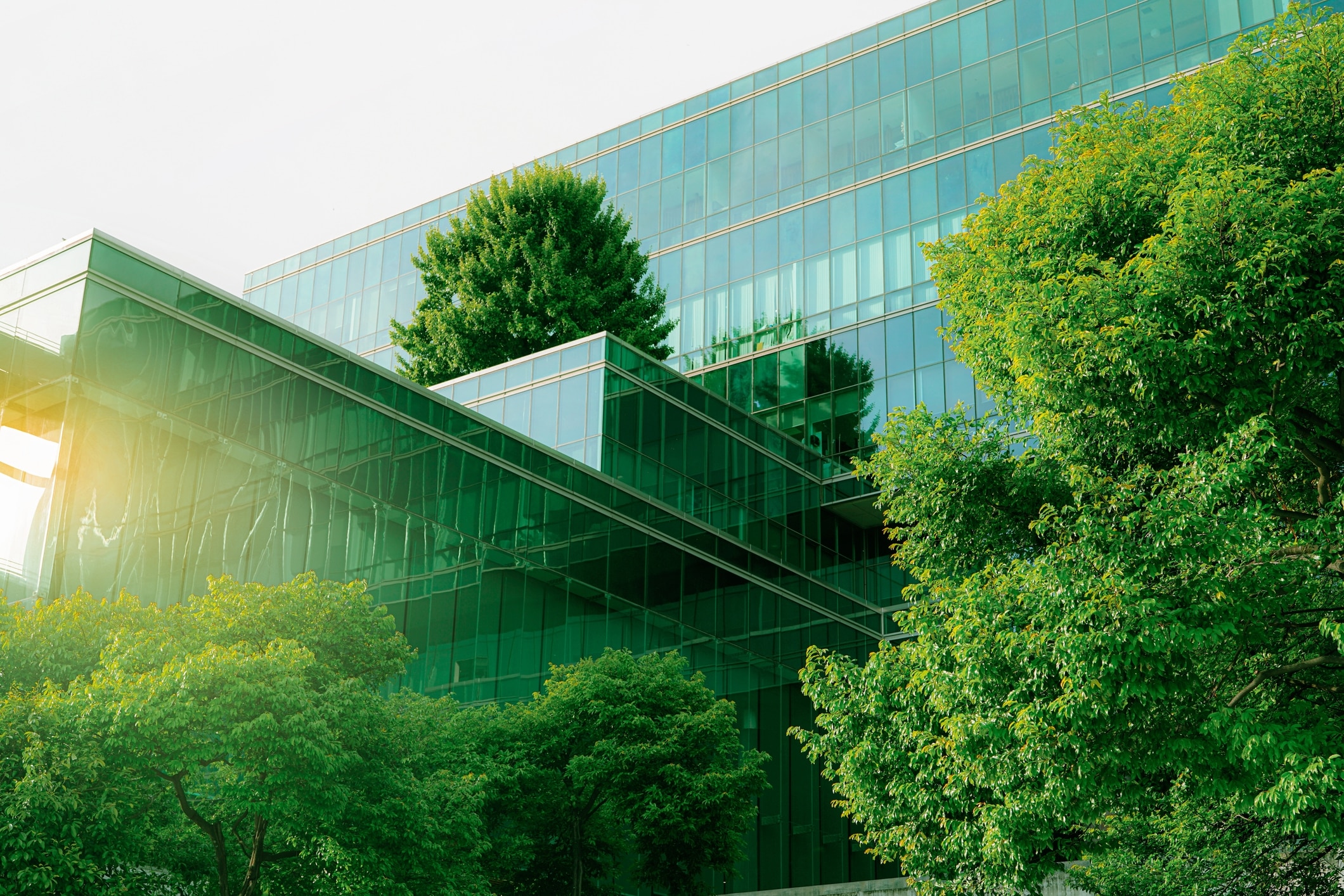 Balancing Innovation and Impact: Generative AI’s Sustainability Challenge