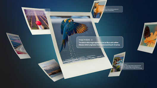 Backstory: Google DeepMind’s AI Tool That Reveals the Truth Behind Online Images